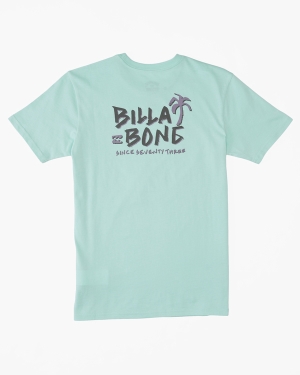 Boys' Billabong Lounge Short Sleeve T Shirts Mint | 670ZQWSIP