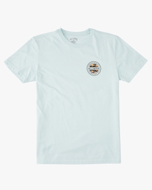 Boys' Billabong Rotor Fill Short Sleeve T Shirts Multicolor | 436EQJYXA