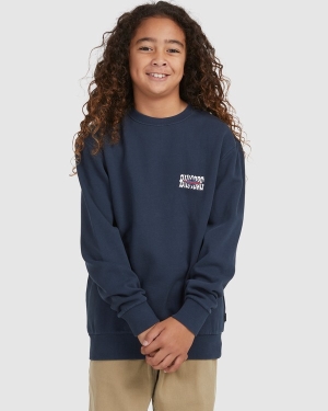 Boys' Billabong Shadow Diamond Crewneck Hoodie Navy | 351ODMKUT