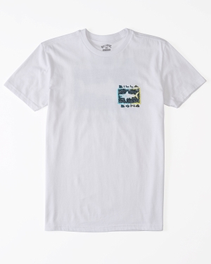 Boys' Billabong Sharky Short Sleeve T Shirts White | 150NAMQVG