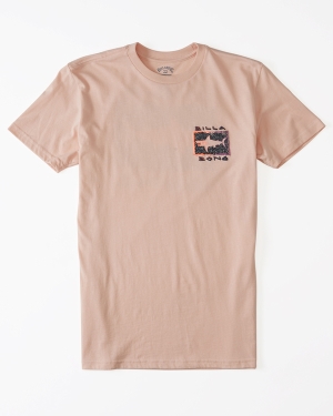 Boys' Billabong Sharky Short Sleeve T Shirts Pink | 473ATHRYE