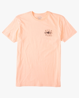 Boys' Billabong Sharky Short Sleeve T Shirts Light Red | 807WTUOAZ