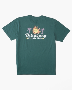 Boys' Billabong Social Club Short Sleeve T Shirts Grey Green | 205LWMUKP