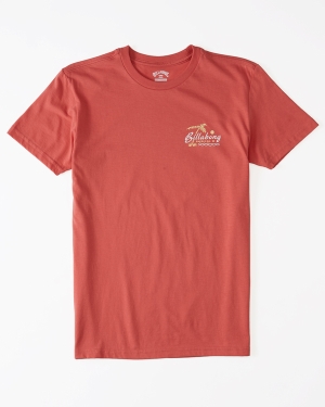 Boys' Billabong Social Lounge Short Sleeve T Shirts Rose | 429NZEWCJ
