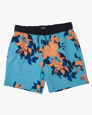 Boys' Billabong Sundays Layback 16 Boardshorts Blue | 018HMXBYL