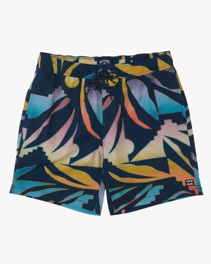 Boys' Billabong Sundays Layback 16 Boardshorts Multicolor | 657ASCFYE