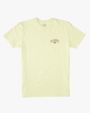 Boys' Billabong Theme Arch Short Sleeve T Shirts Light Green | 842GNSXFQ