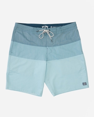 Boys' Billabong Tribong Lo Tide 17 Boardshorts Multicolor | 789ZLSWEU