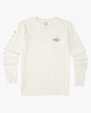 Boys' Billabong Unity Long Sleeve T Shirts White | 953YAJOIT