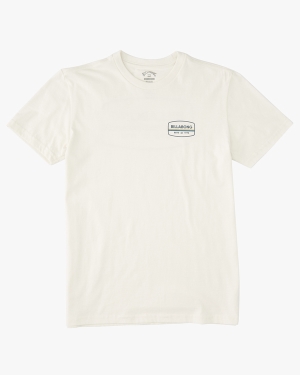 Boys' Billabong Walled Short Sleeve T Shirts White | 129BJHAGF