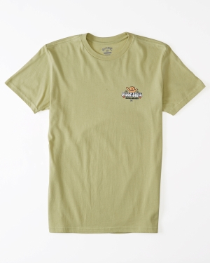 Boys' Billabong Waves For Days Short Sleeve T Shirts Light Green | 871JRDLFO