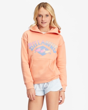 Girls' Billabong Aloha Forever Graphic Hoodie Multicolor | 015AYHDZV