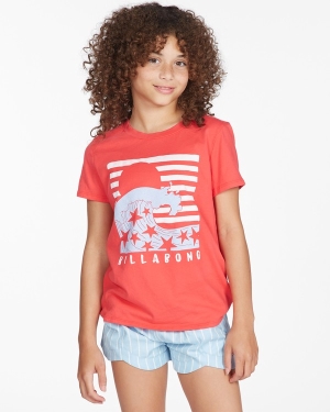 Girls' Billabong Lazy Day Boyfriend T Shirts Multicolor | 617IWGHCN