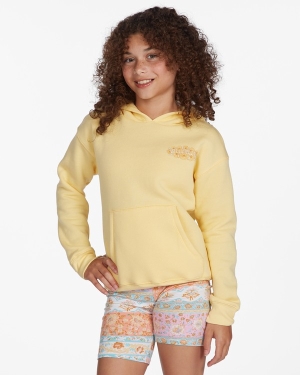 Girls' Billabong Living The Dream Pullover Hoodie Multicolor | 681LJKWAR