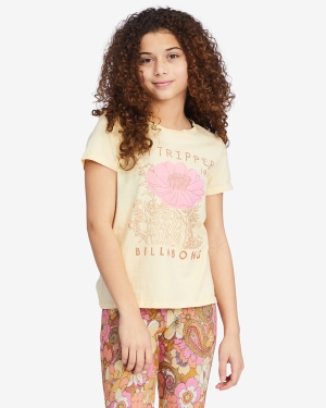 Girls' Billabong Stay Trippy Graphic Boyfriend T Shirts Multicolor | 051ZICWHK