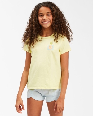 Girls' Billabong Sweet Paradise Graphic Boyfriend T Shirts Multicolor | 341WOJXZA