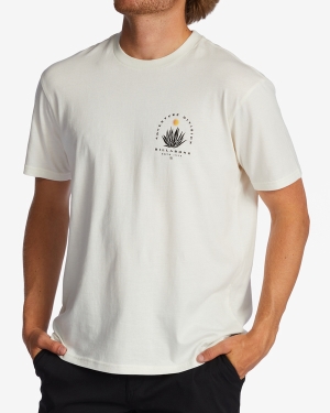 Men's Billabong A/Div Agave Organic Short Sleeve T Shirts White | 421FQNISD