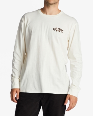 Men's Billabong A/Div Arch Long Sleeve T Shirts White | 982VZQHAR