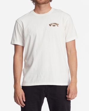 Men's Billabong A/Div Arch Organic Short Sleeve T Shirts White | 019MAXOYU