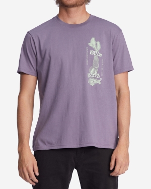 Men's Billabong A/Div Equilibrium Organic Short Sleeve T Shirts Purple | 305UOHBFX