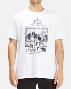 Men's Billabong A/Div Flow Organic Short Sleeve T Shirts White | 926XWFBIL