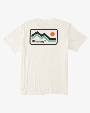 Men's Billabong A/Div Length Short Sleeve T Shirts White | 167ZONUMR