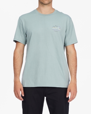 Men's Billabong A/Div Peaks Organic Short Sleeve T Shirts Multicolor | 287BSCOWI