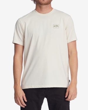 Men's Billabong A/Div Performance Arch UV Short Sleeve T Shirts Multicolor | 052SBMUWJ