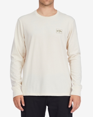 Men's Billabong A/Div Performance Arch UV Long Sleeve T Shirts Multicolor | 890SJGPLY
