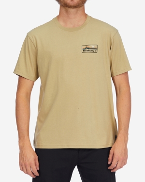Men's Billabong A/Div Range Organic Short Sleeve T Shirts Brown | 541JAGVWZ