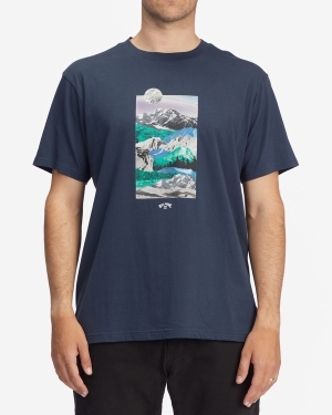Men's Billabong A/Div Seasons Organic Short Sleeve T Shirts Multicolor | 085TLQVAN