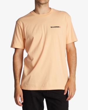 Men's Billabong A/Div Shine Short Sleeve T Shirts Multicolor | 295QMPABY