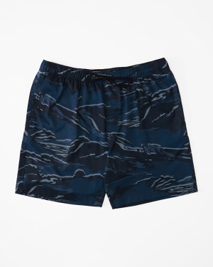 Men's Billabong A/Div Surftrek Elastic Waist 17 Shorts Multicolor | 039ZPYRSE