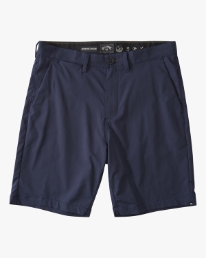 Men's Billabong A/Div Surftrek Journey 20 Shorts Multicolor | 301RUPBQI