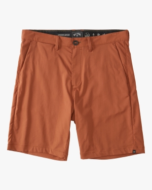 Men's Billabong A/Div Surftrek Journey 20 Shorts Multicolor | 897ULBNKX
