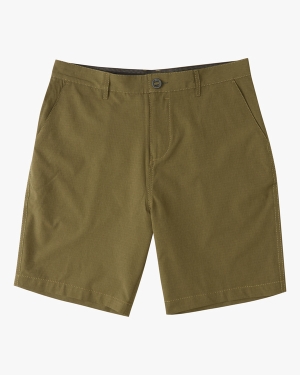 Men's Billabong A/Div Surftrek Transport 20 Shorts Multicolor | 614DRSNWY