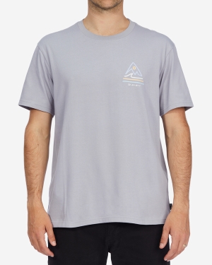 Men's Billabong A/Div Trails Organic Short Sleeve T Shirts Purple | 289HZYMEX