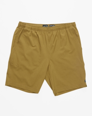 Men's Billabong A/Div Transport Elastic Waist 18 Shorts Brown | 493TNUYAD