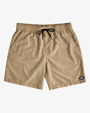 Men's Billabong All Day Overdyed Layback 17 Boardshorts Brown | 604KDGLNR