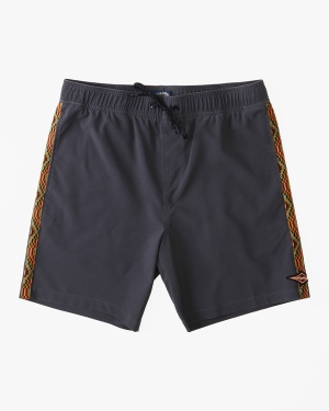 Men's Billabong All Day Pigment Layback 17 Boardshorts Multicolor | 527NWFKXV