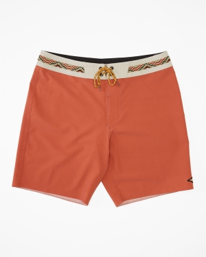 Men's Billabong All Day Pigment Pro 18 Boardshorts Multicolor | 058XHQDUM