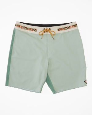Men's Billabong All Day Pigment Pro 18 Boardshorts Olive | 351GSKHBI