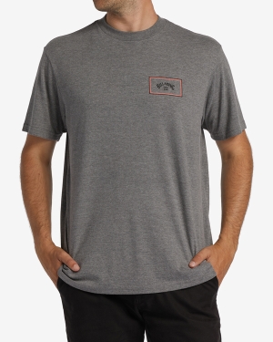 Men's Billabong Arch Block Short Sleeve T Shirts Grey | 350QKNXFS