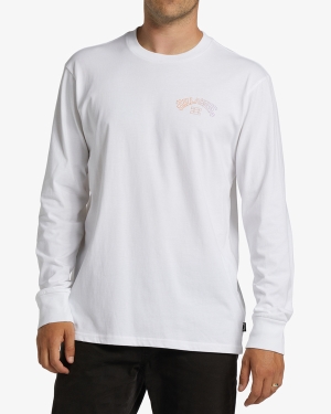 Men's Billabong Arch Fill Long Sleeve T Shirts White | 798AJZRDS