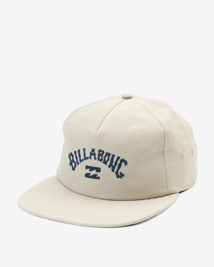 Men's Billabong Arch Team Strapback Hats Multicolor | 394KFRISJ