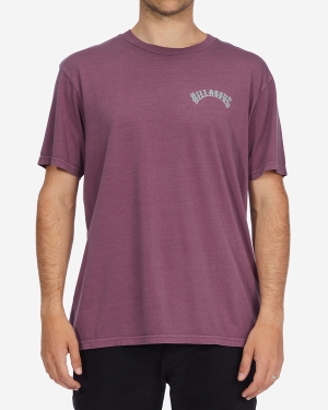 Men's Billabong Arch Wave Washed Short Sleeve T Shirts Light Purple | 394RLNZPB
