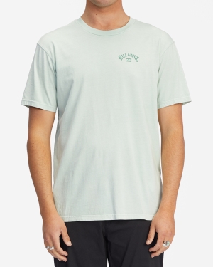 Men's Billabong Arch Wave Washed Short Sleeve T Shirts Multicolor | 409DCFMBT