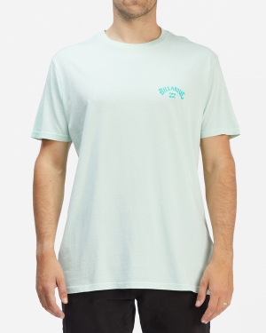Men's Billabong Arch Wave Washed Short Sleeve T Shirts Multicolor | 427NLJEKD