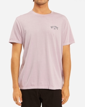 Men's Billabong Arch Wave Washed Short Sleeve T Shirts Light Lavender | 439AMYSLE