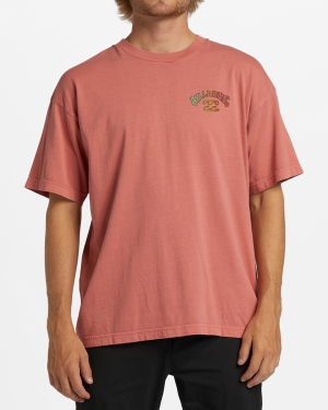 Men's Billabong Arch Wave Washed Short Sleeve T Shirts Coral | 701HBLXMC